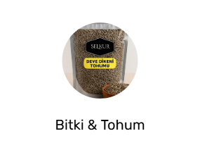 Bitki & Tohum