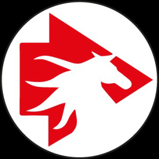 Nitroper Petrol logo
