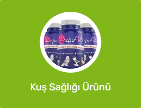 Kuş Sağlığı Ürünü