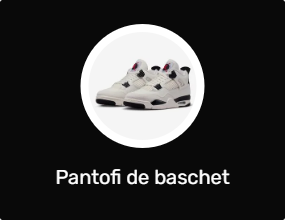 Pantofi de baschet