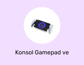 Konsol Gamepad ve Joystick