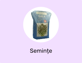 Semințe