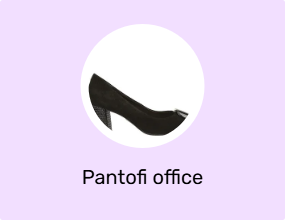 Pantofi office