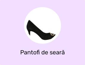 Pantofi de seară