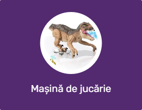 Mașină de jucărie