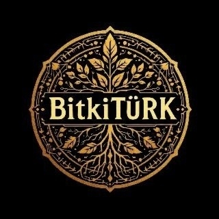 BitkiTÜRK