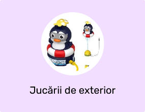 Jucării de exterior