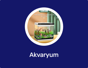 Akvaryum