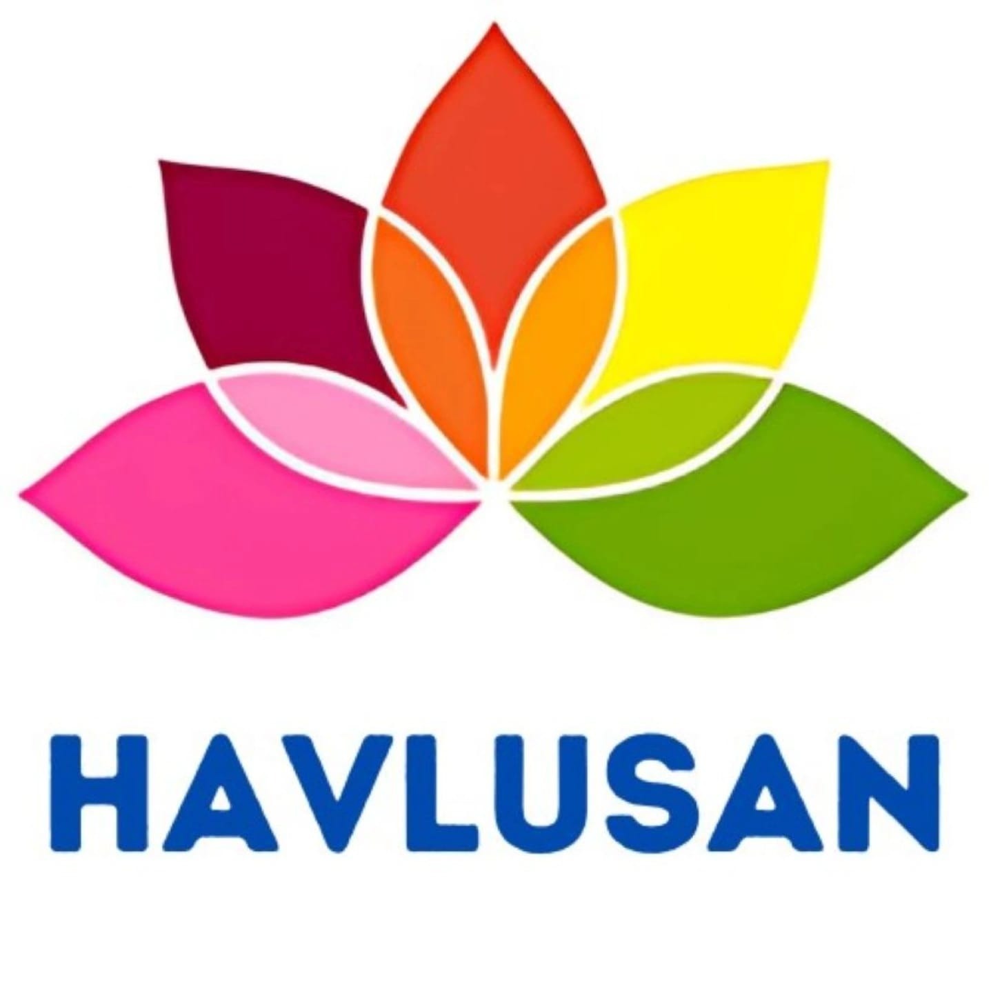 HAVLUSAN