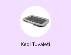 Kedi Tuvaleti