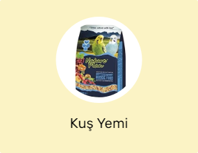 Kuş Yemi