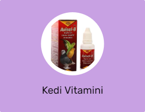 Kedi Vitamini