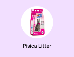 Pisica Litter