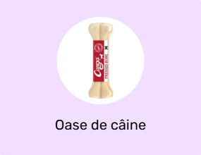 Oase de câine