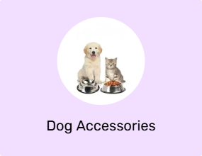 Dog Accessories