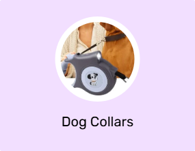Dog Collars