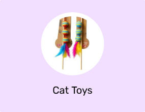 Cat Toys