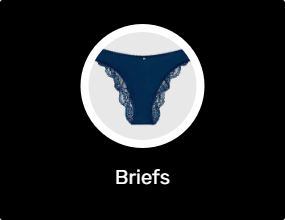 Briefs