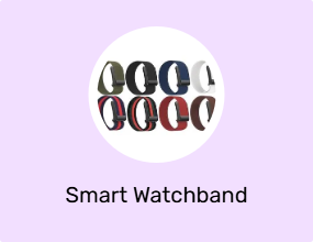 Smart Watchband