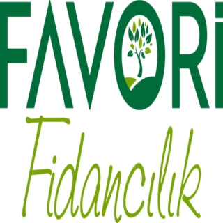 favori fidancılık