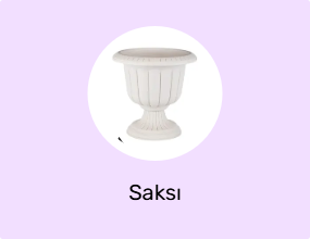 Saksı