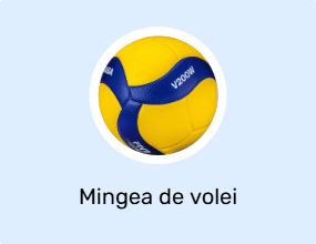 Mingea de volei