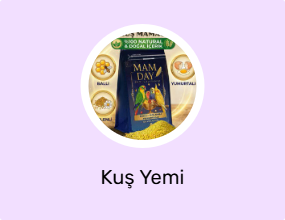 Kuş Yemi
