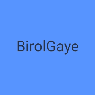 BirolGaye logo
