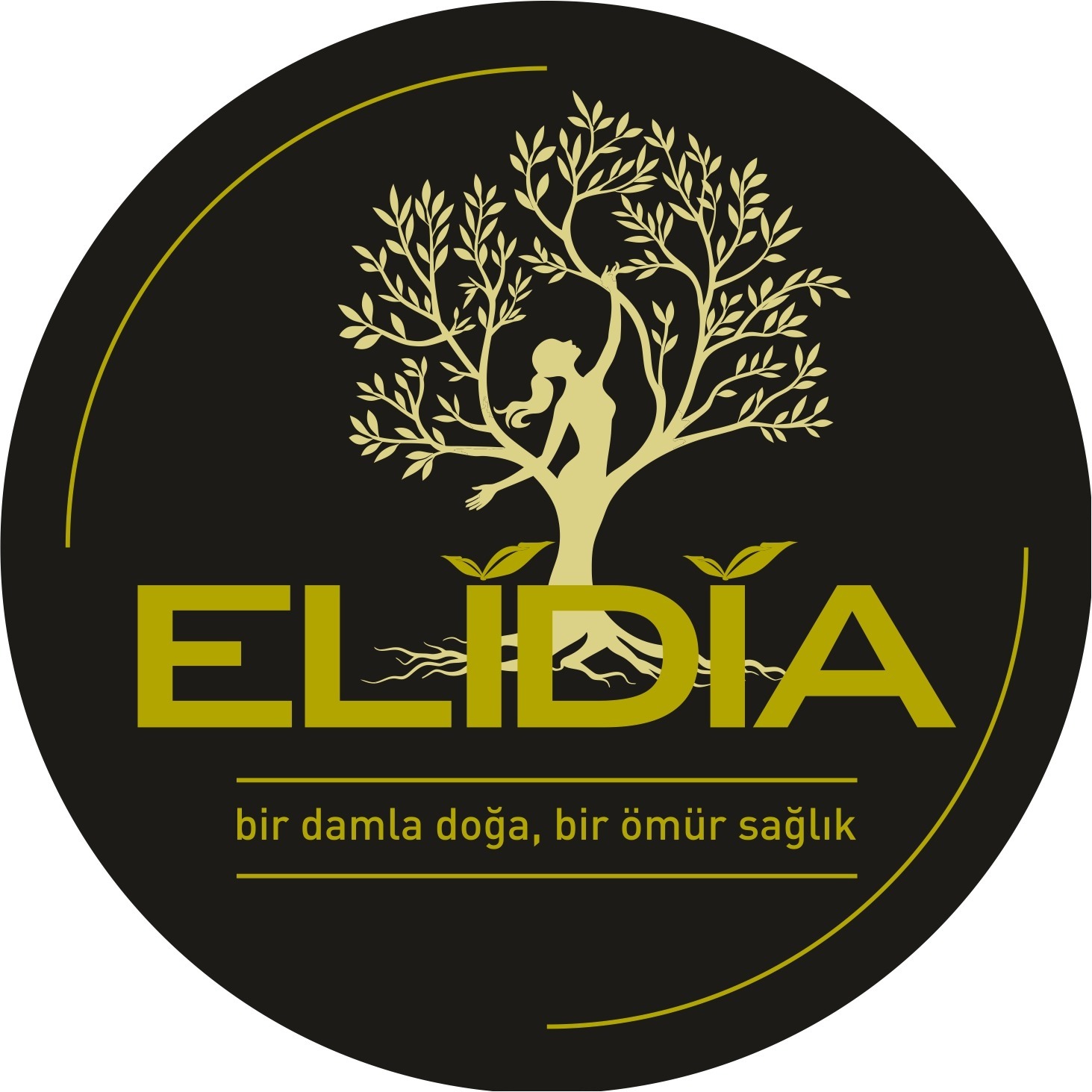 ELIDIA