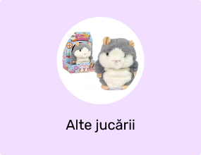 Alte jucării