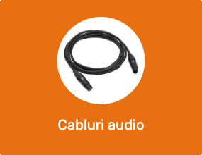 Cablu audio