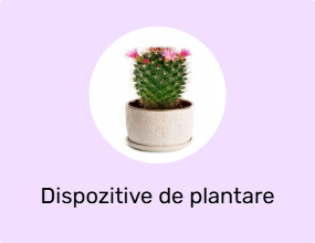 Dispozitive de plantare și îndepărtare a puieților