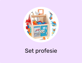 Set profesie