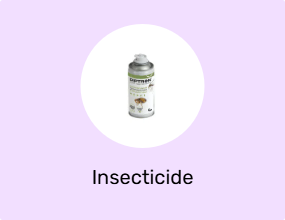 Insecticide