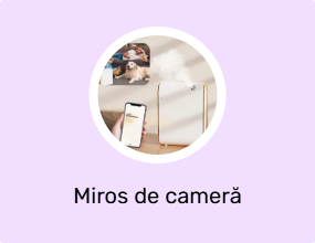 Miros de cameră