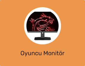 Oyuncu Monitör