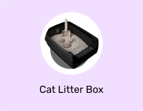 Cat Litter Box