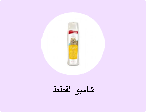 شامبو القطط