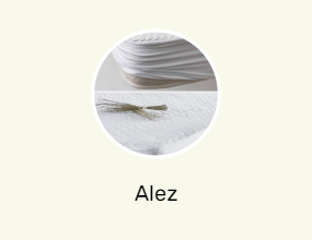 Alez
