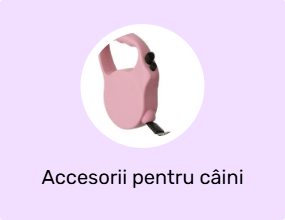 Accesorii pentru câini