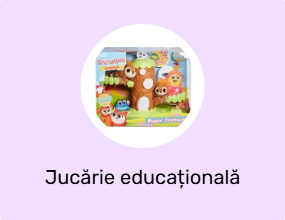 Jucărie educațională