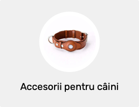 Accesorii pentru câini