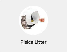 Pisica Litter
