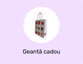 Geantă cadou
