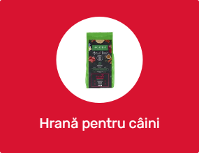 Hrană pentru câini