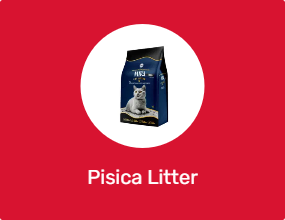 Pisica Litter