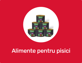Alimente pentru pisici conservate