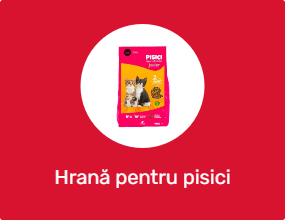 Hrană pentru pisici