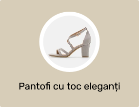 Pantofi cu toc eleganți
