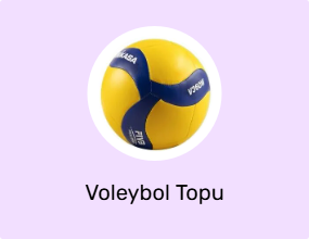 Voleybol Topu